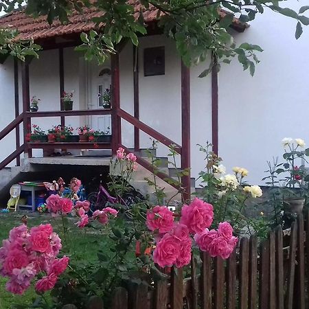 Apartment Dil Kulen Vakuf Bagian luar foto