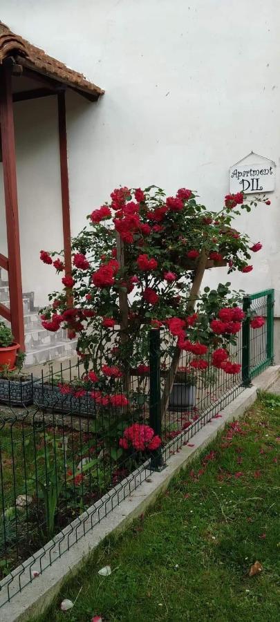 Apartment Dil Kulen Vakuf Bagian luar foto